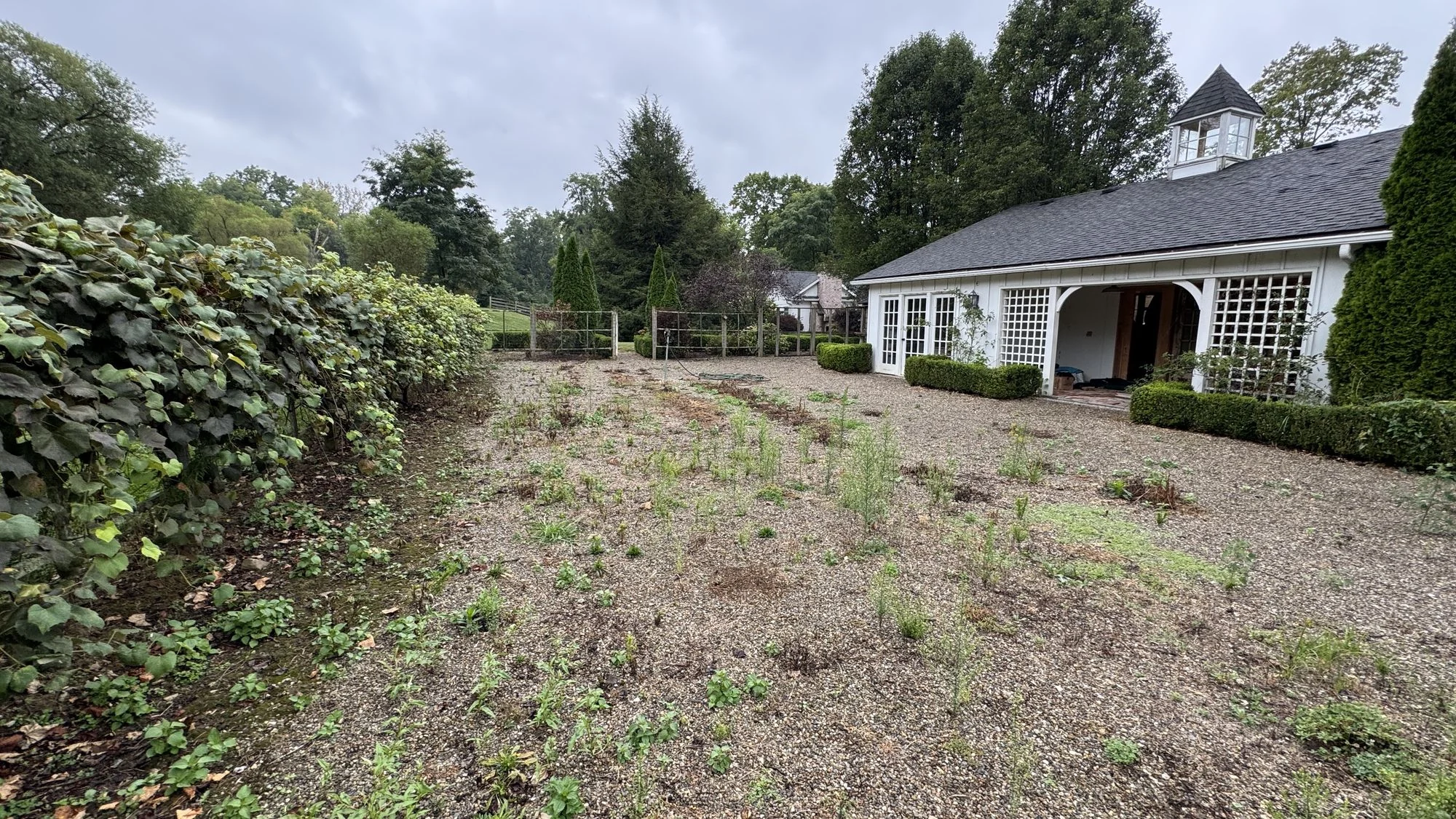 Before — the gravel courtyard looking toward the barn as it stands today